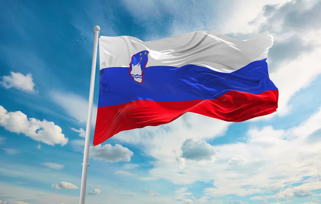 mfa_bih's tweet photo. Our thoughts are with the people of 🇸🇮 in these trying times. Bosnia and Herzegovina stands in solidarity with our neighbors ready to provide any support necessary.
@MZEZ_RS https://t.co/jEgvNIU0TI
