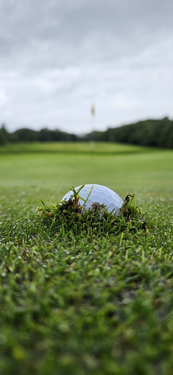 Well that's one way to keep it on the green.