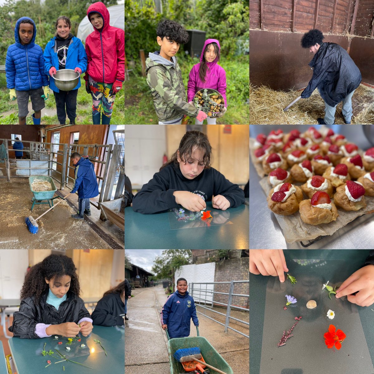 PLAYSCHEME WEEK 1 ROUND UP!!!! #kentishtowncityfarm #cityfarm #sunmerfun #gardening #baking #cooking #SundayFunday #playscheme