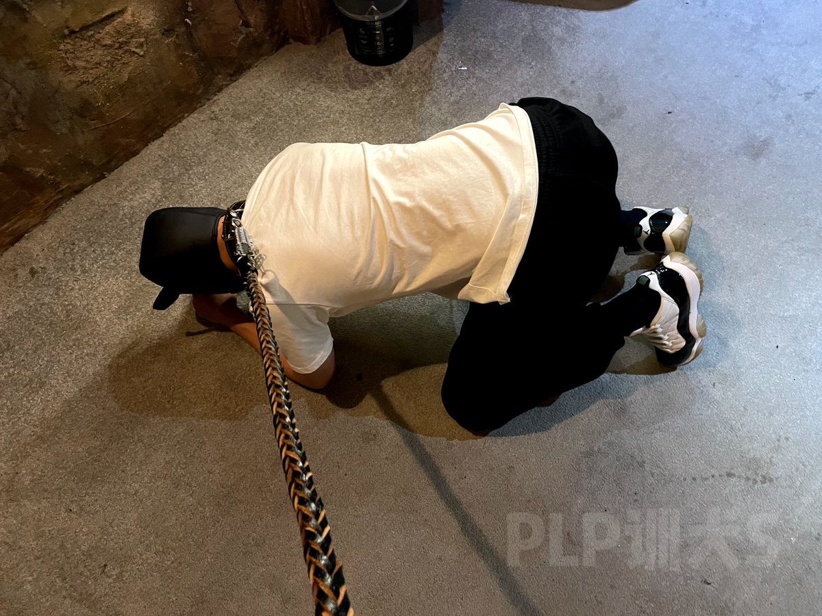 WDPLP's tweet photo. 老子穿了一周的臭袜子含在嘴里当宝贝一样，塞着狗尾巴戴着狗链子越来越像一条合格的狗了。爷就喜欢用狗嘴洗臭袜子脏内裤脏鞋把精华全部嘬干净，有喜欢脏臭鞋袜内裤的可以私信加你爹VX。 https://t.co/VaNDo8GnTz