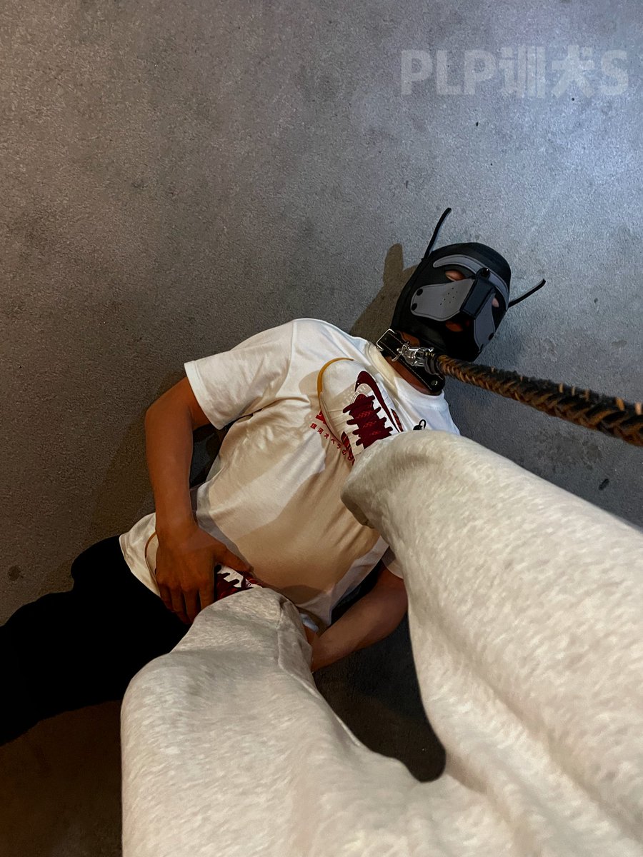 WDPLP's tweet photo. 老子穿了一周的臭袜子含在嘴里当宝贝一样，塞着狗尾巴戴着狗链子越来越像一条合格的狗了。爷就喜欢用狗嘴洗臭袜子脏内裤脏鞋把精华全部嘬干净，有喜欢脏臭鞋袜内裤的可以私信加你爹VX。 https://t.co/VaNDo8GnTz
