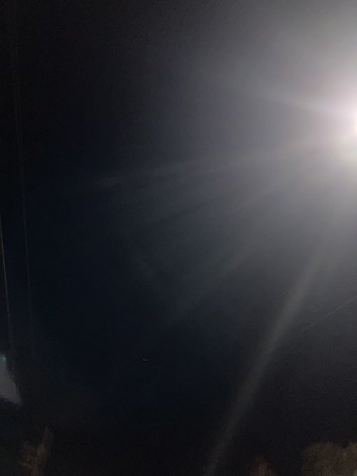 お散歩してます。明日から1週間有給なんで、噛み締めたかったんで^^ https://t.co/1rKo0CGMd0