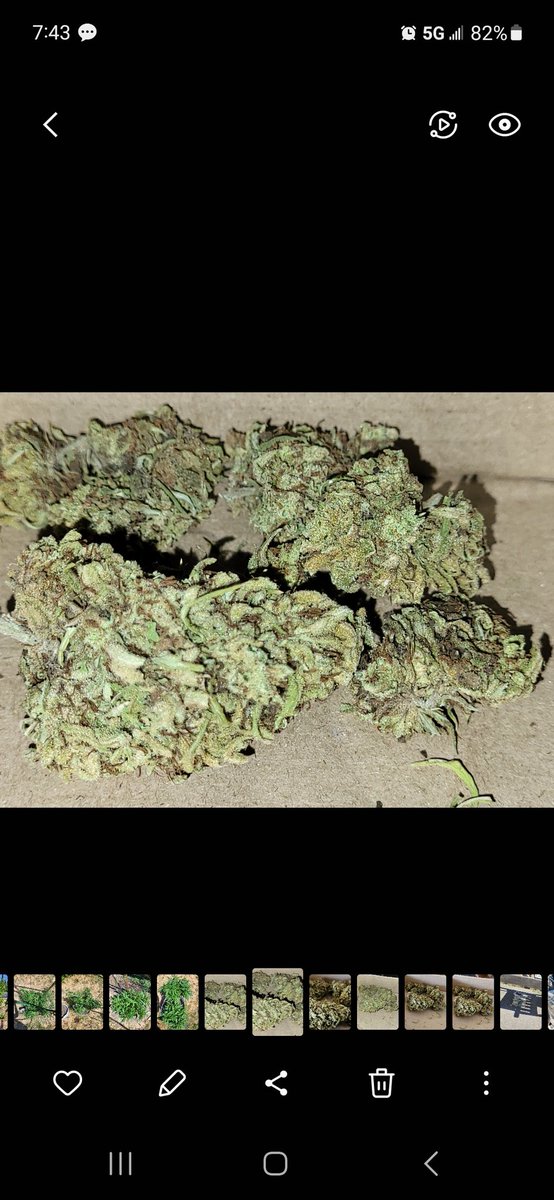 bandit420ca tweet picture