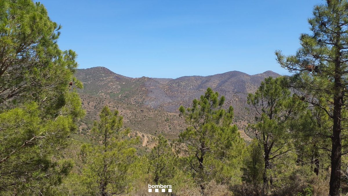 bomberscat's tweet photo. A #IFPortbou el perímetre es manté estable. Tot i això, hi mantenim un dispositiu amb una trentena de dotacions perquè a la tarda bufa fort la tramuntana i està previst que cap al vespre es reforci.

📷 Imatges de les 13.20h

#Bomberscat https://t.co/uKlKmpqUrC