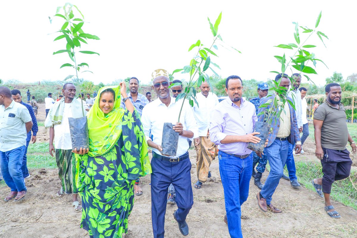 awolarba's tweet photo. በኢፌድሪ ገንዘብ ሚንስቴር አቶ አህመድ ሺዴ የሚመራው ልዑክ ጋር በዱብቲ ወረዳ የአረንጓዴ አሻራ መርሃግብር እና ለአቅመ ደካሞች ቤት መገንባት የክረምት በጎ አድራጎት መርሃግብር አካሂደናል,

በተጨማሪም ከማህበረሰብ ጋር ውጤታማ ውይይት አካሂደናል, https://t.co/FQpvZtUuwy