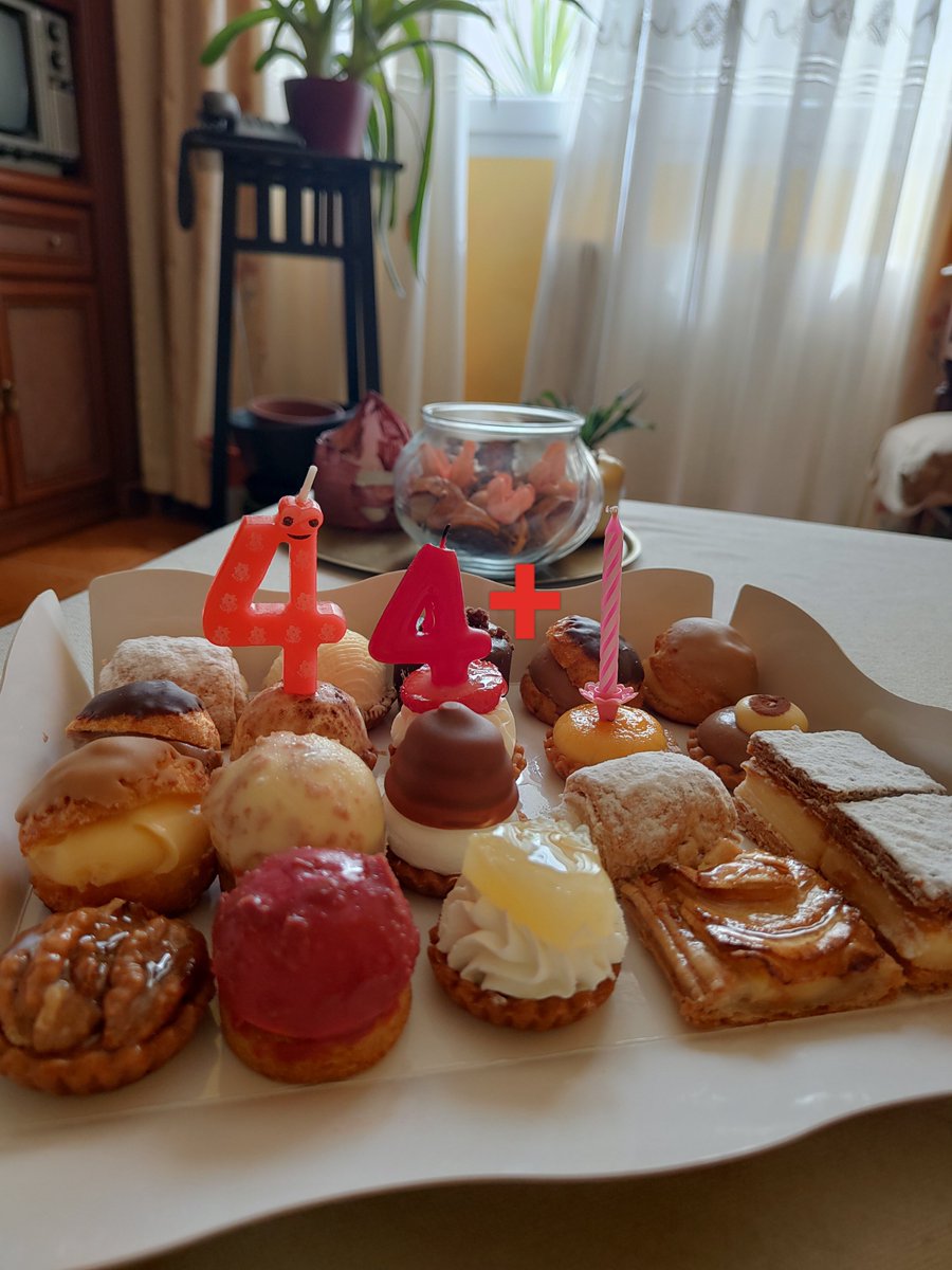 Stella Maris L B 🍊🌴🍉 tweet media