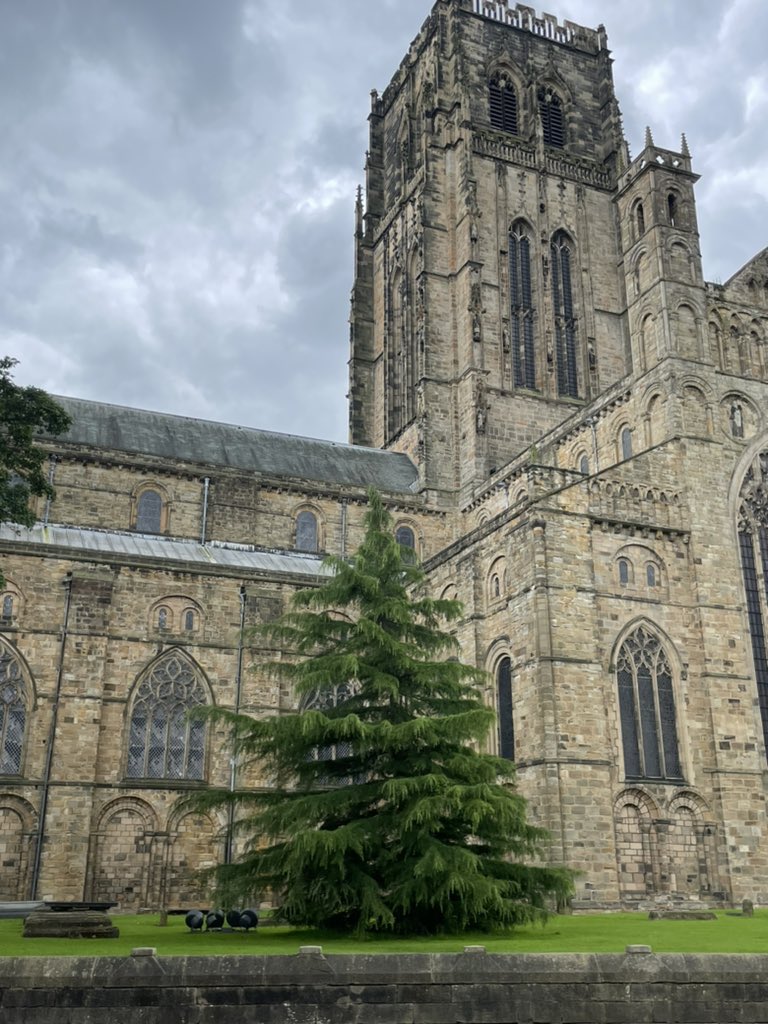 Havnt been near trees recently to post a #TreeClub picture so here’s one from our visit to Durham cathedral !