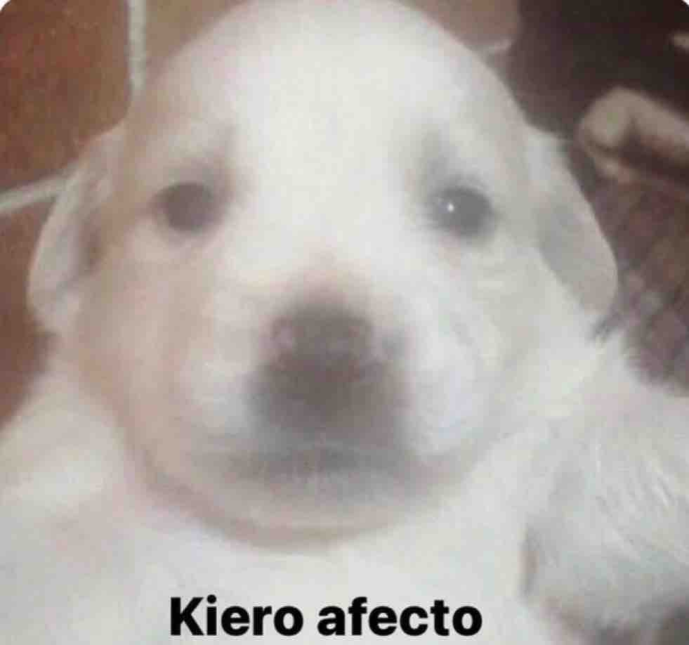 Yo después de 10 enojos, 5 berrinches y 2 crisis existenciales.