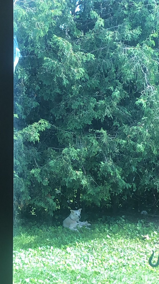 Yacob (@wowy_smite) on Twitter photo 