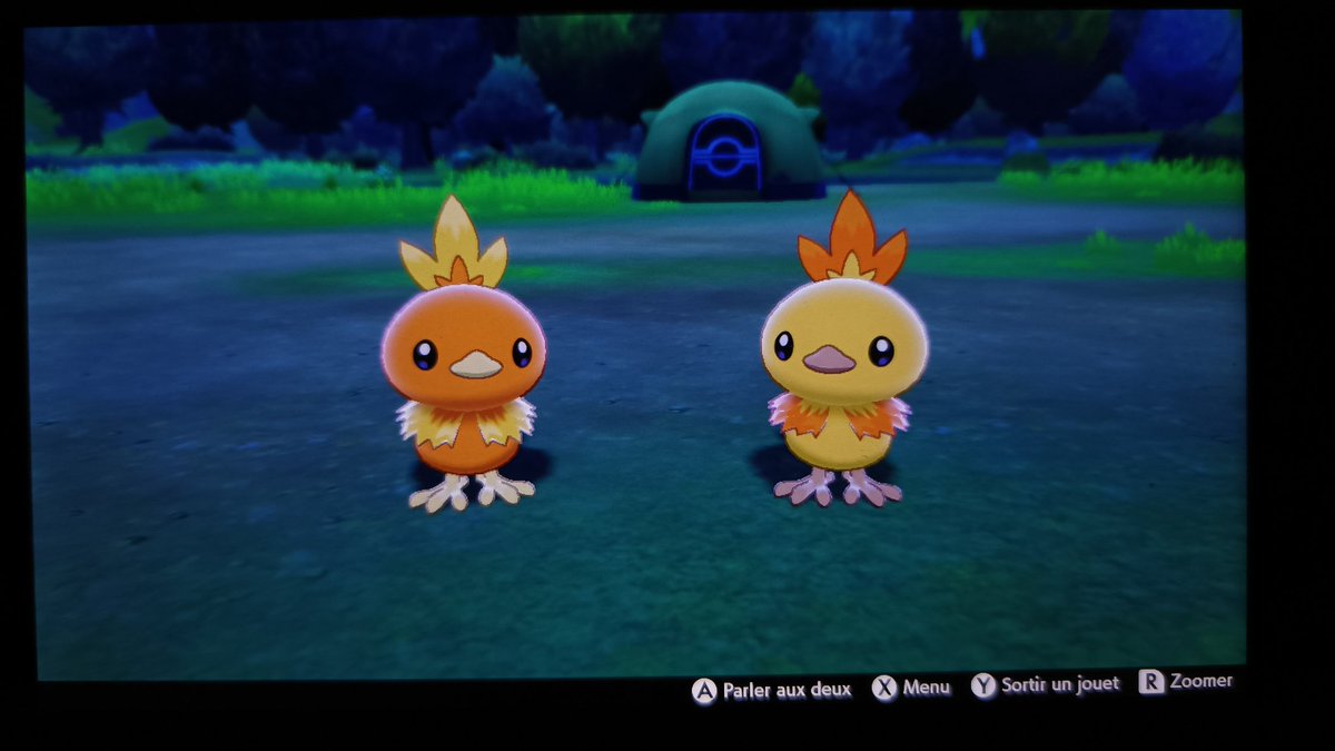 🌟531/1008🌟: Poussifeu shiny trouvée en 219 œufs 😉