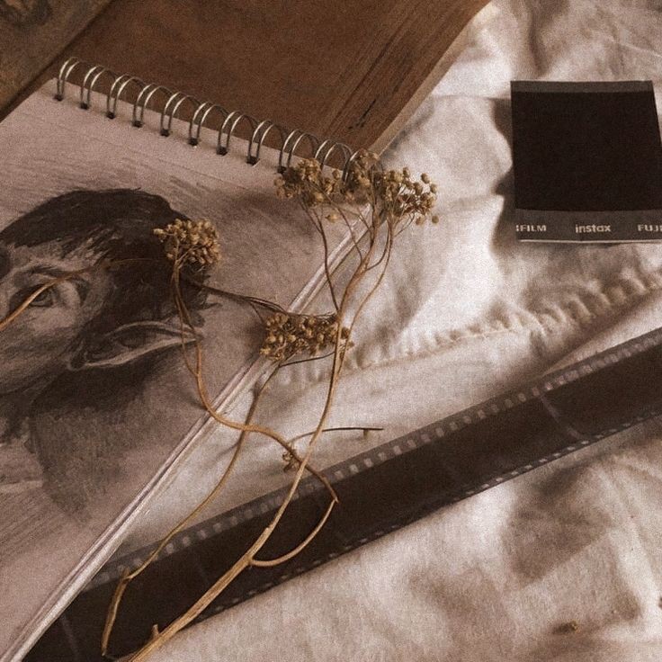. . . ៸៸ 𝙂𝙤𝙙 𝙤𝙛 𝙘𝙝𝙖𝙤𝙨 ꪶ tweet media