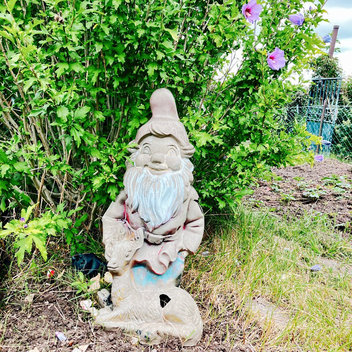 "Beikräuter für Gnome" ab 22 Uhr auf datscharadio.de, die Nachtschleife zum Laubenlauschen aus Altenburg. Als Zugabe gibt es im Anschluß die drei vorigen Nachtsendungen unter dem Titel "Reprise Nachtschnecken Laubengarten". 
@gabi_schaffner <a href="/DIYchurch/">deleted user</a>