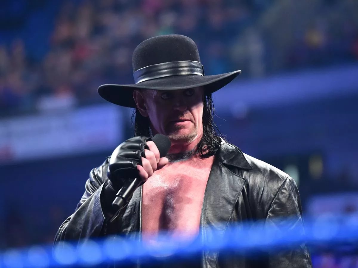 wrestlelamia's tweet photo. You can ONLY Erase one from WWE history https://t.co/tgsQdZuyL9
