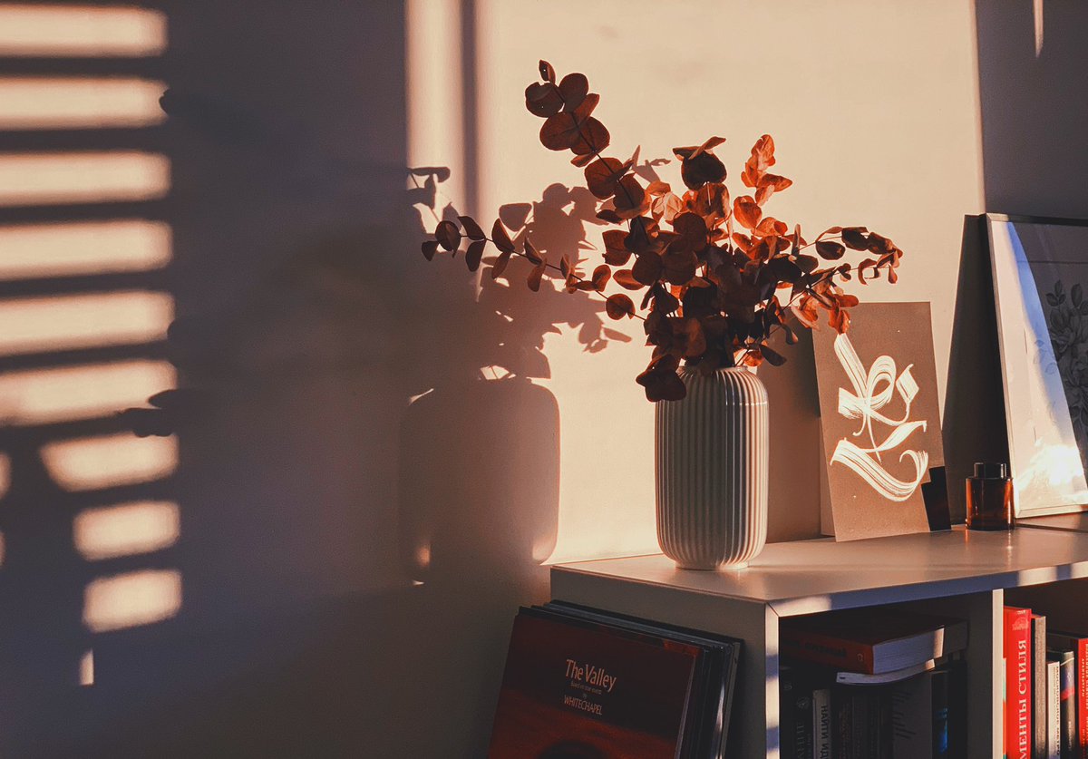 numicor's tweet image. Вечерний свет в новой квартире радует :)