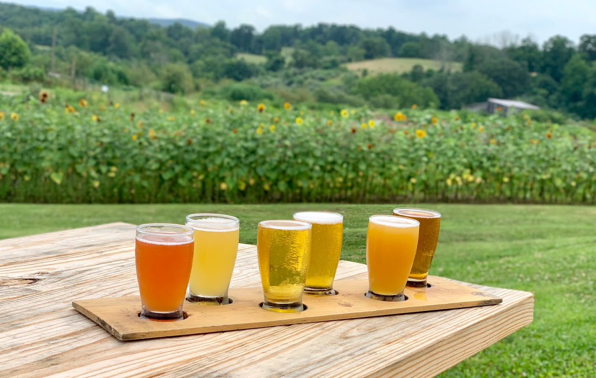 Virginia is home to several award-winning breweries. Make the most out of #CraftBeerMonth by hopping on a craft beer trail, sipping at a pet-friendly brewery, or enjoying live music. Enjoy responsibly, cheers! 🍻 #VisitVA virginiaisforlovers.co/44VA6mf 📍: Rising Silo Brewery