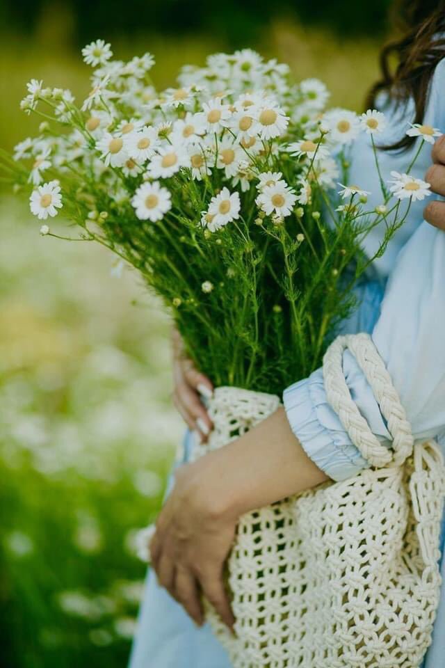 ♡
اللهُم اجعل هذا اليوم حاملًا لنا من الخير فوق ما نرجُو، واجعله خير لأمورِنا كُلها