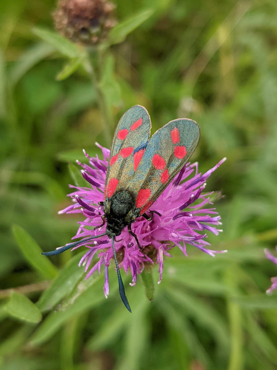 Alice Cousens tweet media