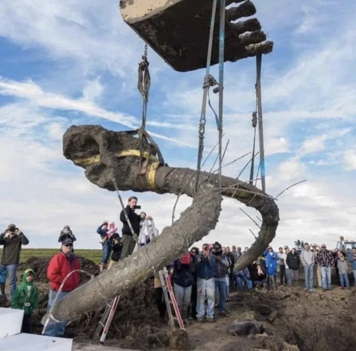 Historic Vids tweet media