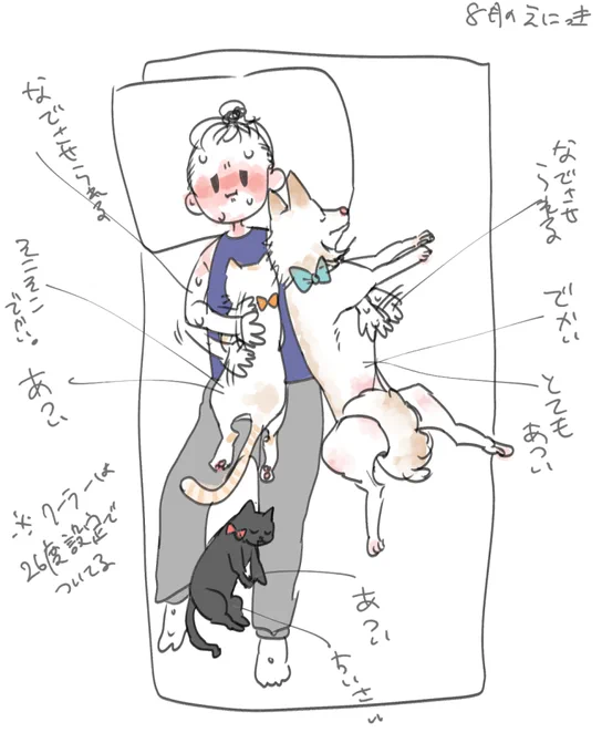 進捗でチラ見せできるような段階のがないから久しぶりの近況(?)絵日記～いぬとねことっても体温たかい～