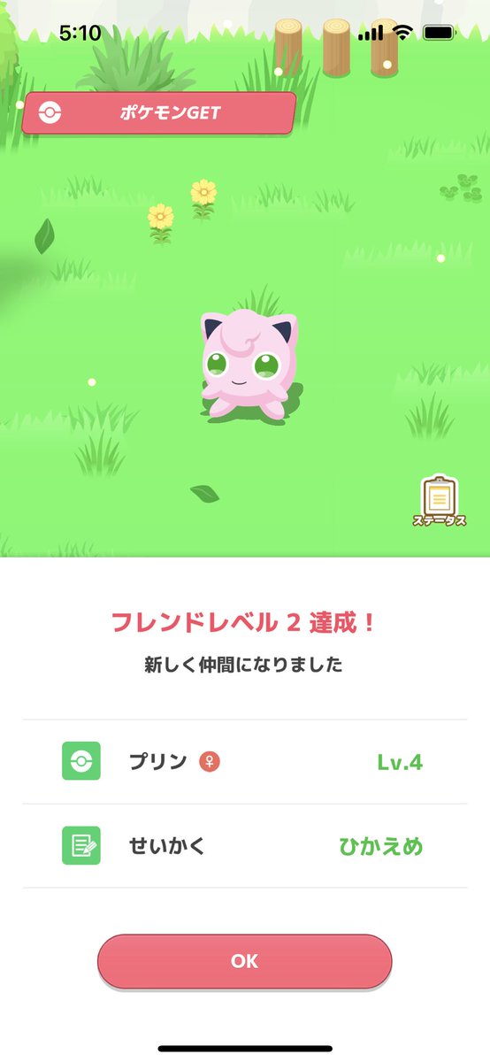 初めての色違い👍