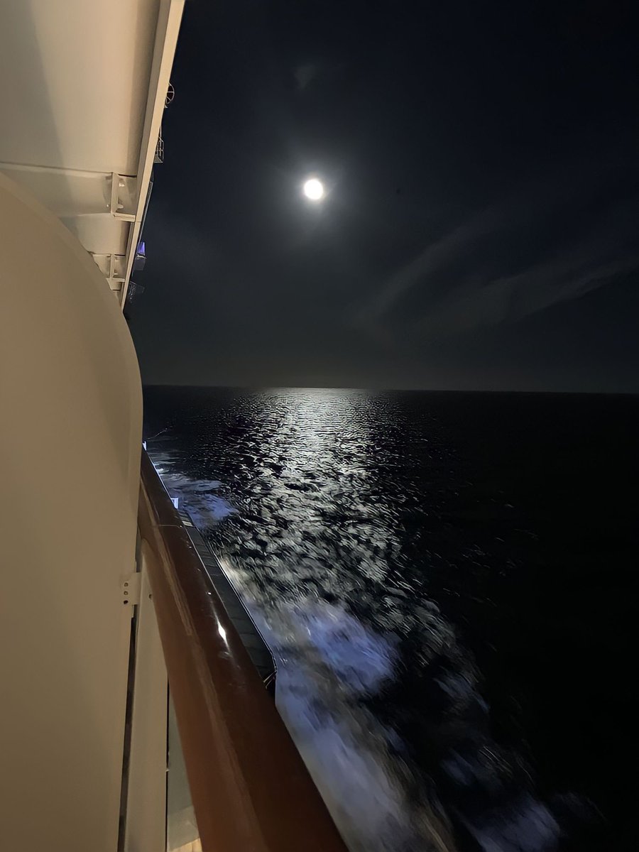 رُمح🇸🇦 tweet media