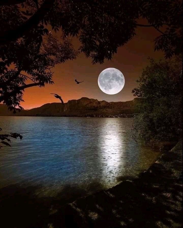 VieNatureSavoir's tweet photo. Good night ✨️✨️✨️✨️✨️🎇 https://t.co/ECOXQtjry7