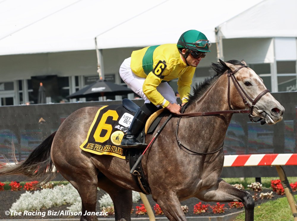 Prairie_Bayou's tweet photo. My heart goes out to @melgidd1 and all of the connections of Maple Leaf Mel. Here she is winning the Miss Preakness Stakes in May. @PimlicoRC @TheRacingBiz #MapleLeafMel https://t.co/IQA3H5KNL9