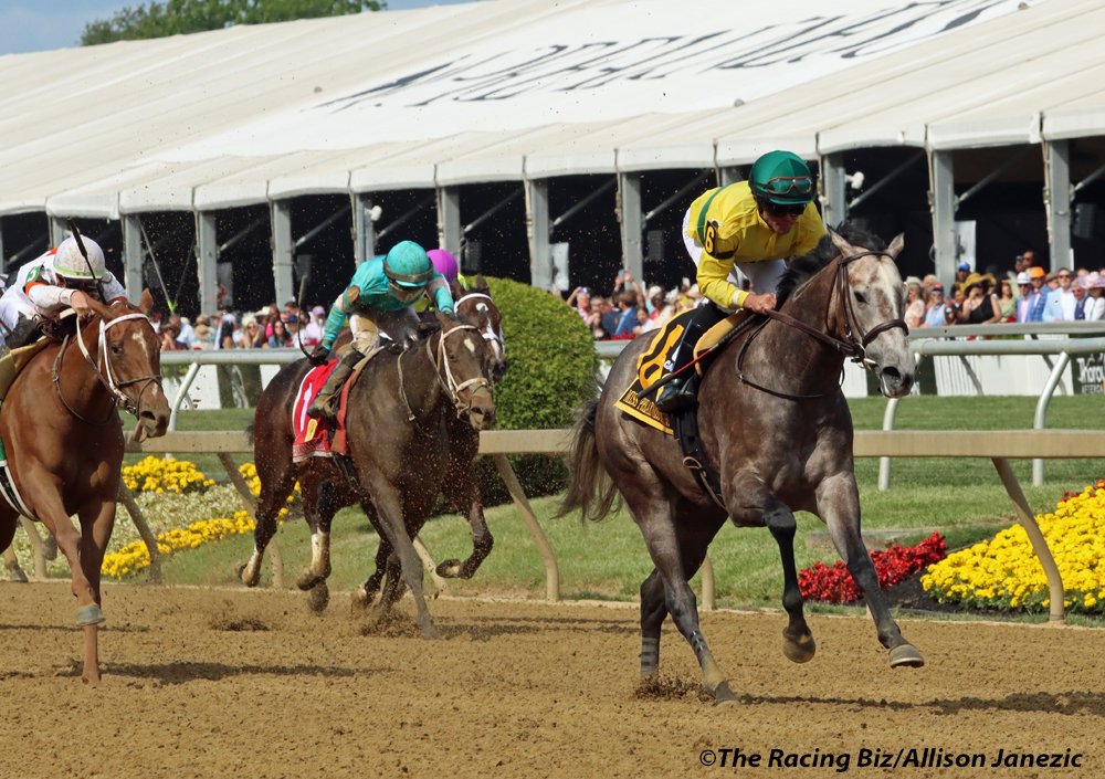 Prairie_Bayou's tweet photo. My heart goes out to @melgidd1 and all of the connections of Maple Leaf Mel. Here she is winning the Miss Preakness Stakes in May. @PimlicoRC @TheRacingBiz #MapleLeafMel https://t.co/IQA3H5KNL9