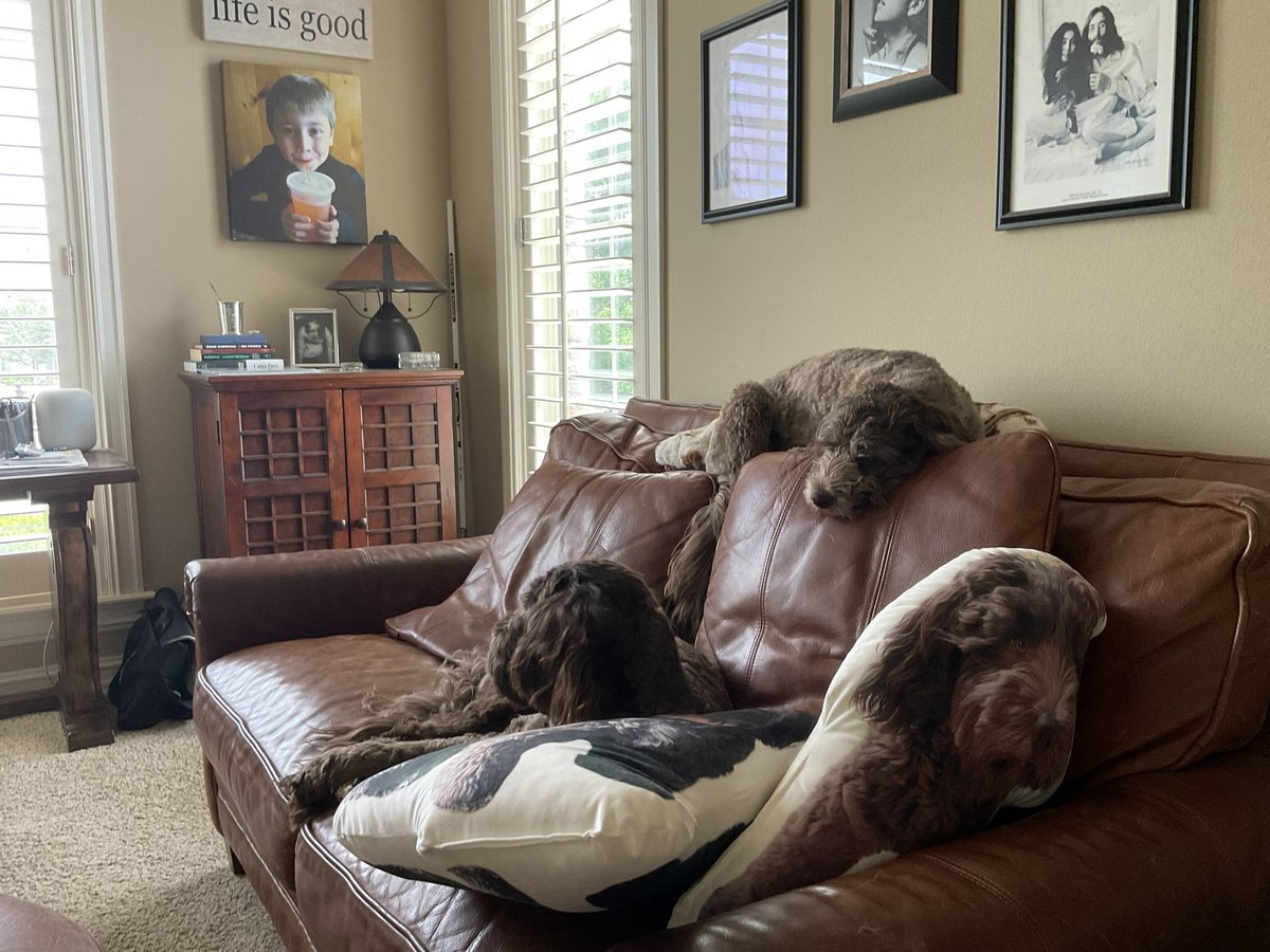 Peter Nelson (@prn19) on Twitter photo 