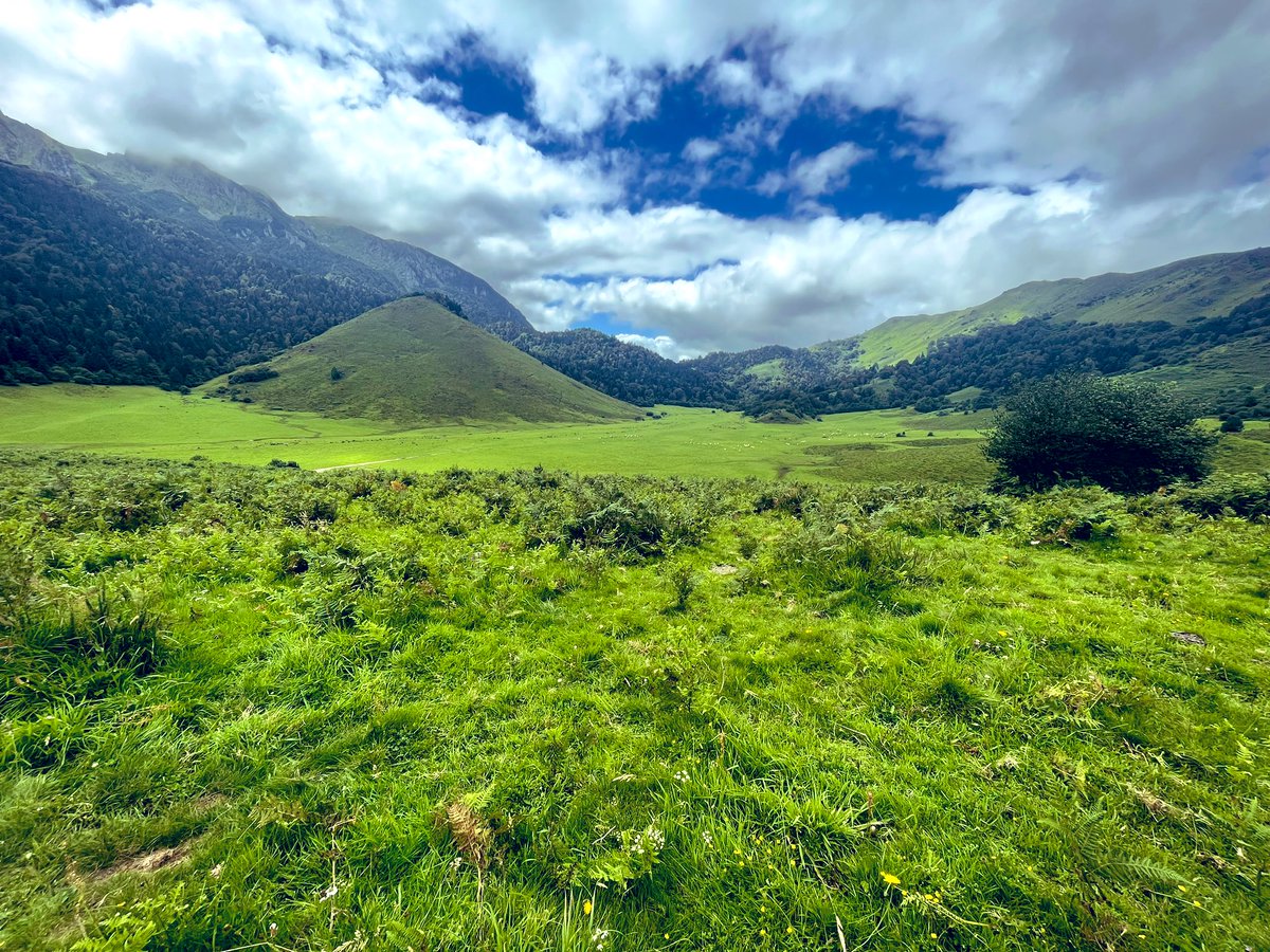 ParisJulien's tweet photo. 📍Vallée d’Ossau 
#Béarn #Ossau #Bielle https://t.co/MHQtBg9nFd