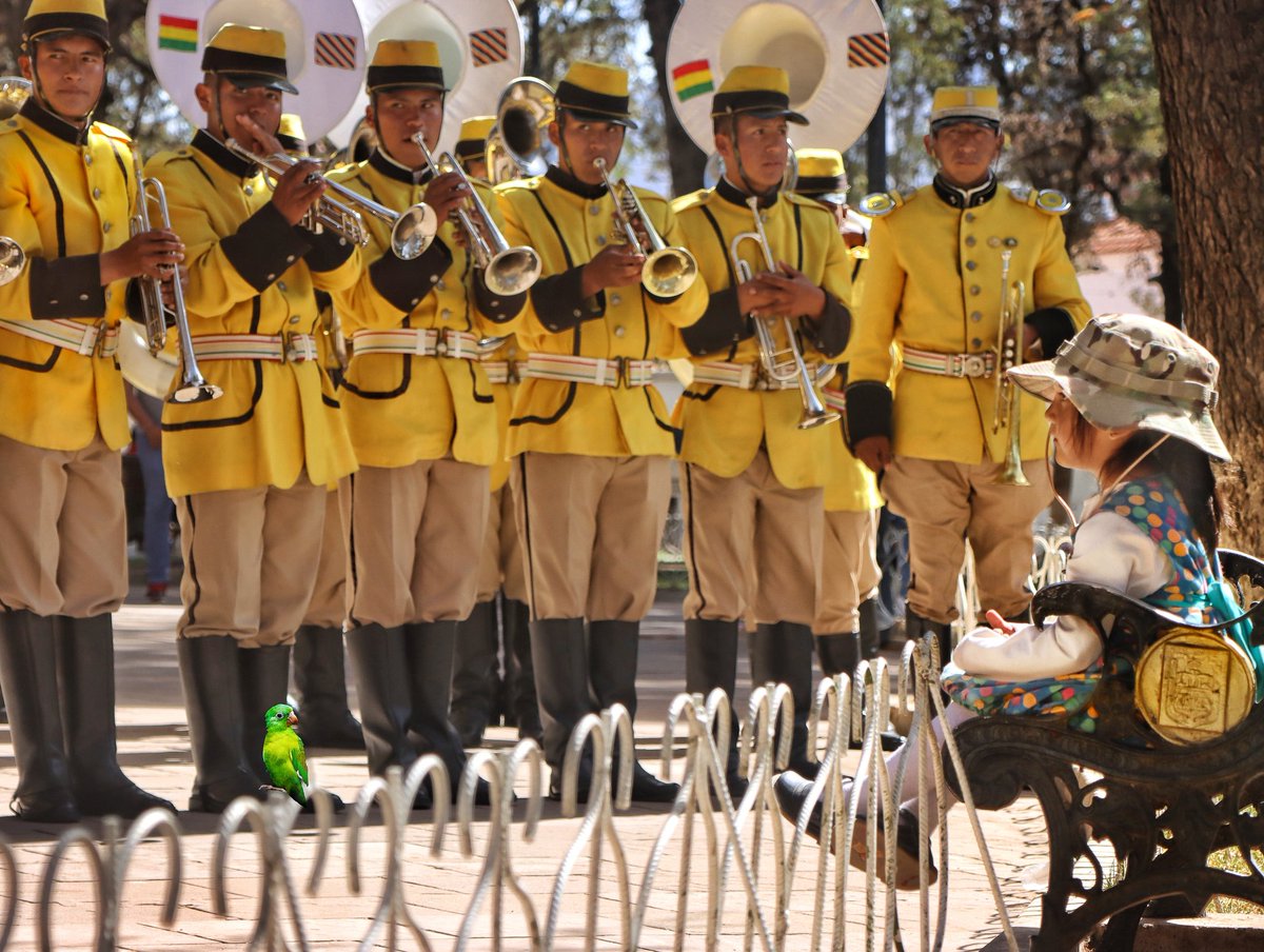 Hey küçük güzel kuş bu orkestra benim için mi çalıyor? Neden kimse yüzüme bakmıyor? Yoksa farkimda mi değiller? Oysa annem babam hep çok tatlı olduğumu söyler. Söyle bana küçük kuş🐦ben tatlı değil miyim?
#bolivya #peaceday #bolivia #rotasızseyyah #gezgin #çokgezenlerkulübü