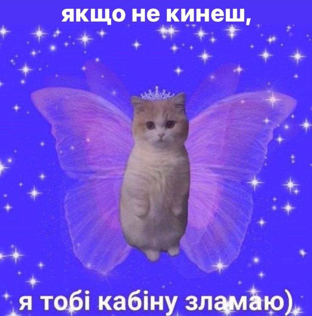 юля ти мошинка tweet media