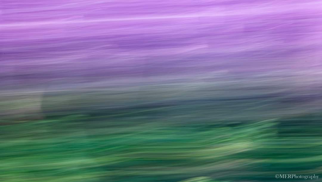 Heather on the moors.

This ICM image is of the heather which is just beginning to colour or the local moors.

#theschoolofphotography #ICM #icmphotography #icmphotomag #sunday #sheclicksnet