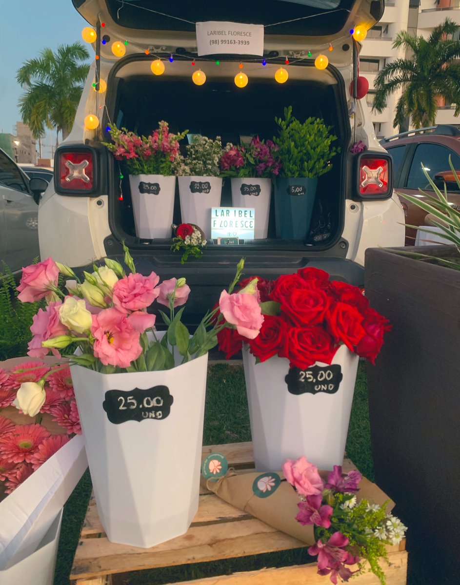 laribeeel's tweet photo. Quando se recebe a flor, cria-se lembranças que florescem em si e em outros.
Tá sendo incrível viver isso aqui 🥹
Meu coração fica quentinho a cada cultivo  💐✨ https://t.co/F7i02wdMth