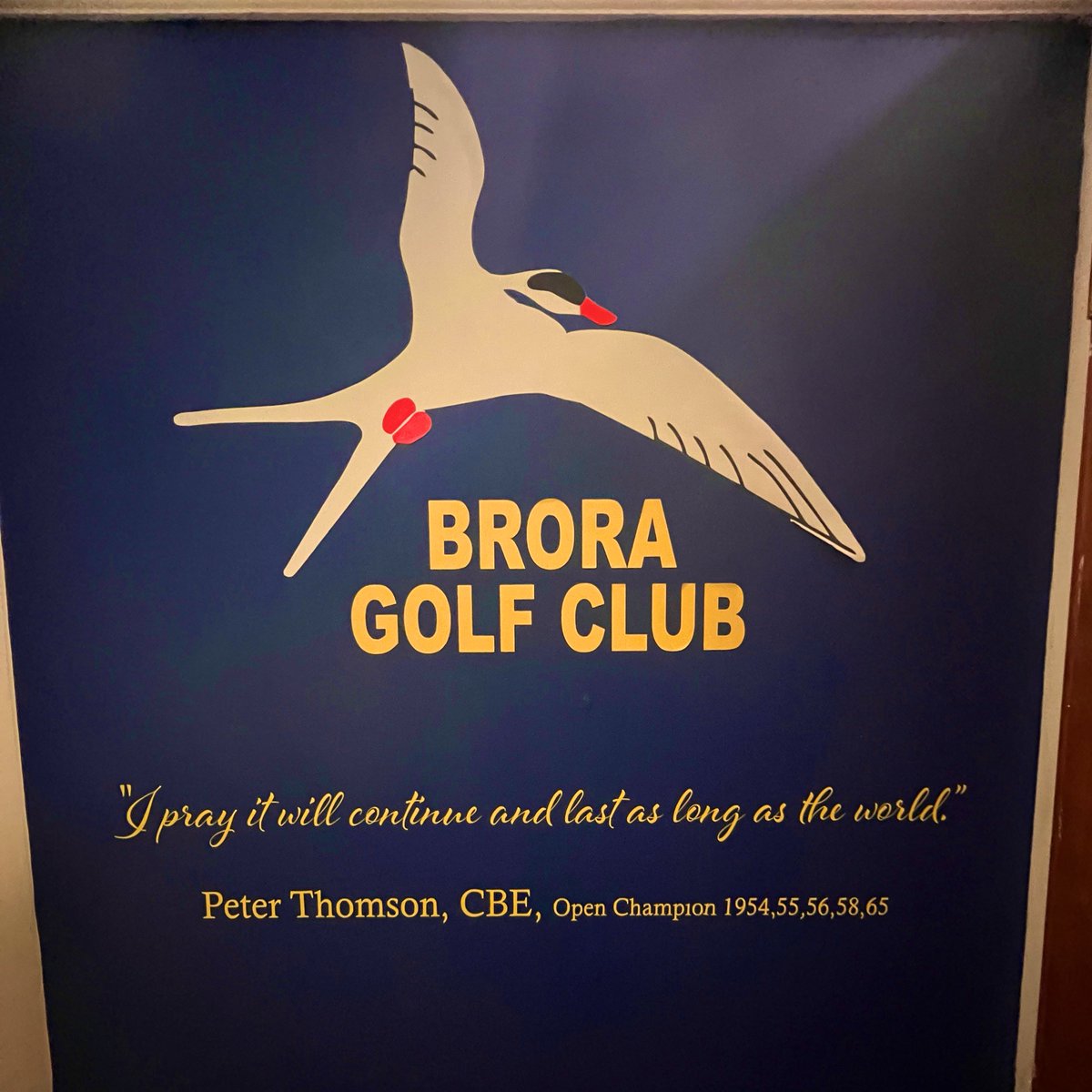 PeterFinchGolf's tweet photo. Might be the best course review I’ve ever seen!! @BroraGolfClub https://t.co/IbBvnyQsTV