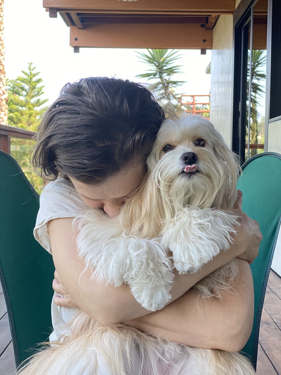 Sam Reich tweet media