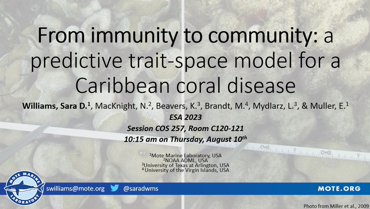 Dr. Sara D. Williams tweet media