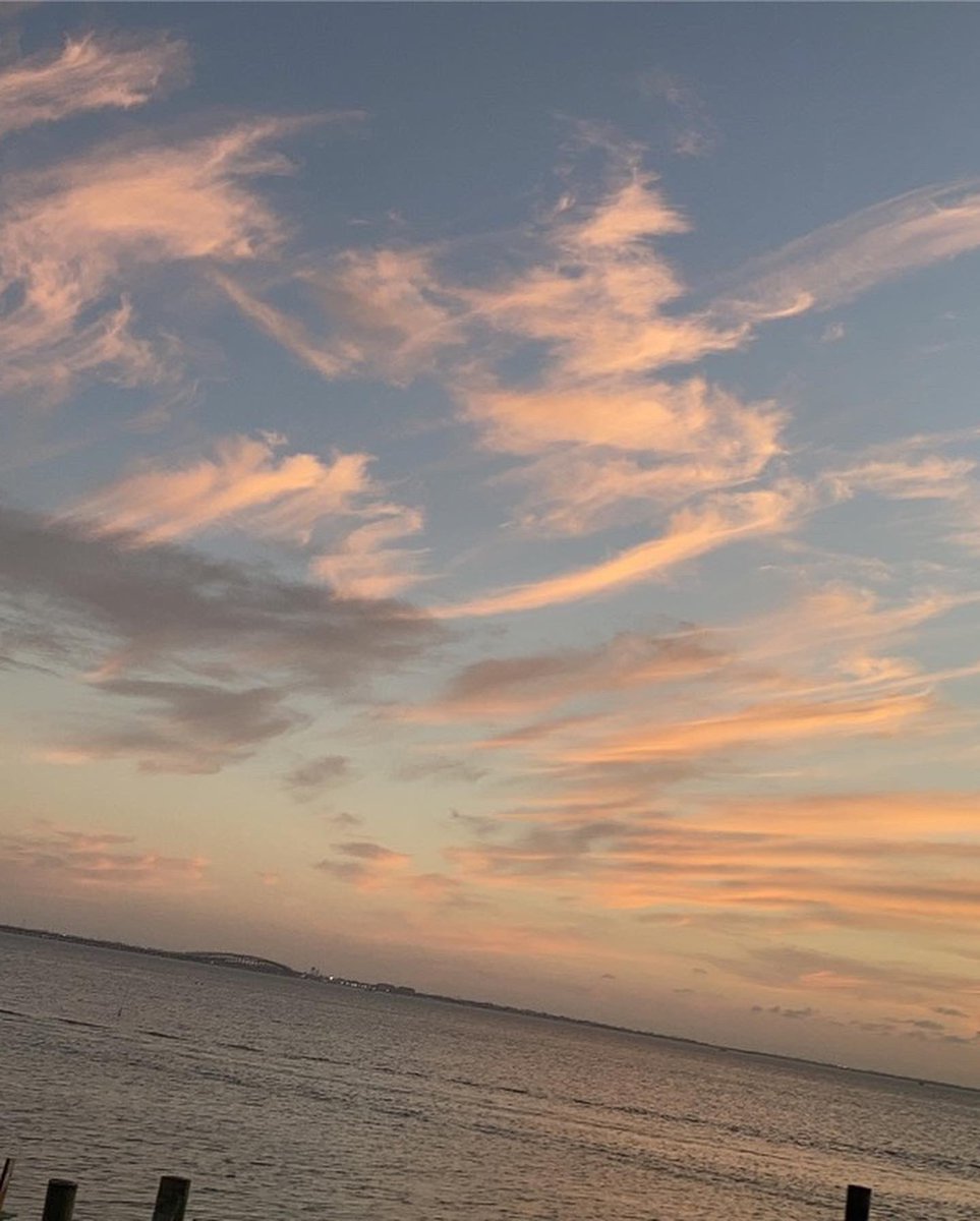 Eddie Perez (@perezeddie20005) on Twitter photo 