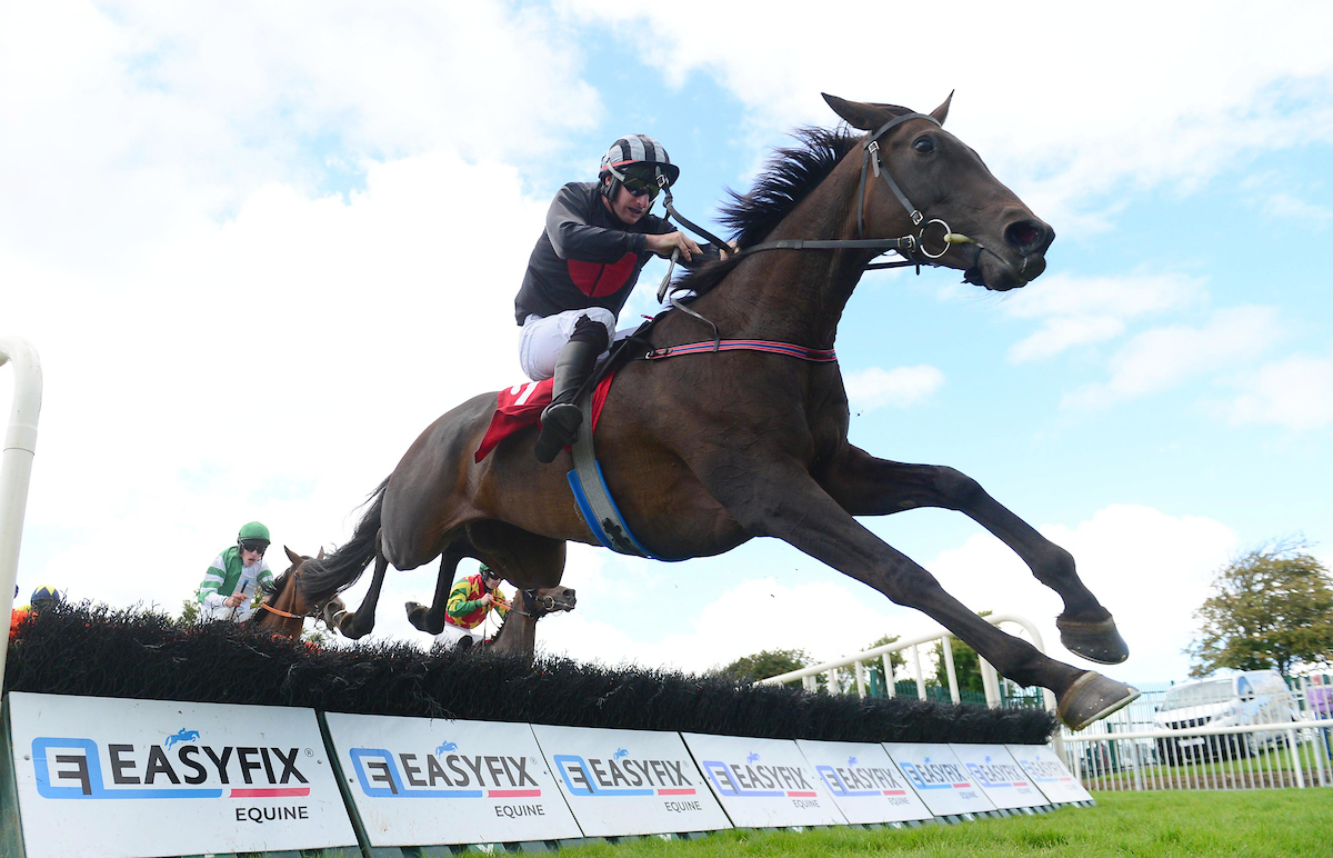 Galway_Races's tweet photo. 🏆2nd race: The Kenny Galway Handicap Hurdle
Won by: My Design
Trained by: Declan Queally
Ridden by: Ray Barron
Owned by: Mrs Fiona O'Connor
👏Congratulations from all the team at Galway Racecourse
📸Healy Racing
#GalwayRaces #RarinToGo #LetsRace https://t.co/qmF6YAh4le