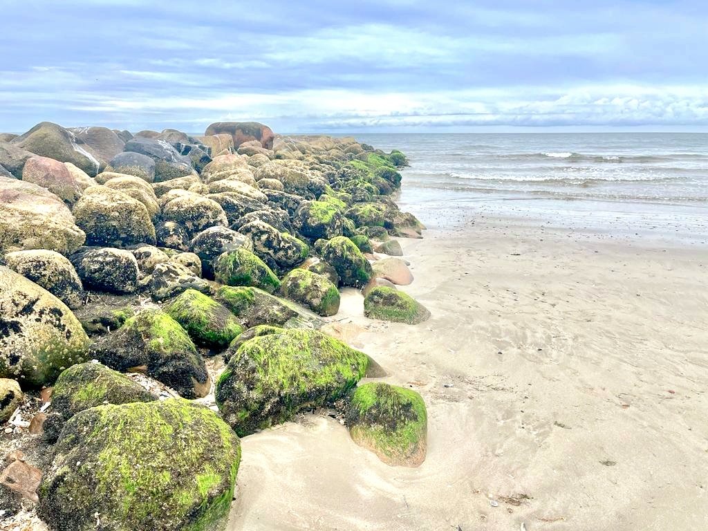 FlorettaNagel's tweet photo. Blavand Strand
#strand #meer #daenemark #blavand #varde https://t.co/xADrRmecWi