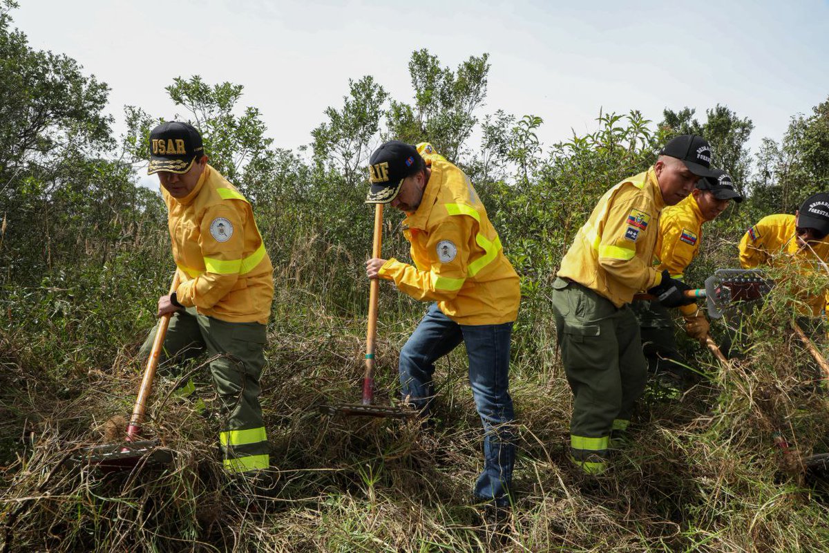 MunicipioQuito's tweet image. ⛏️#DoMinga | El alcalde de Quito, @pabelml, en la comuna Tola Chica de Tumbaco, desde el cerro Ilaló, participa junto a los vecinos del sector en esta gran minga para prevenir los incendios forestales.

#QuitoRenace