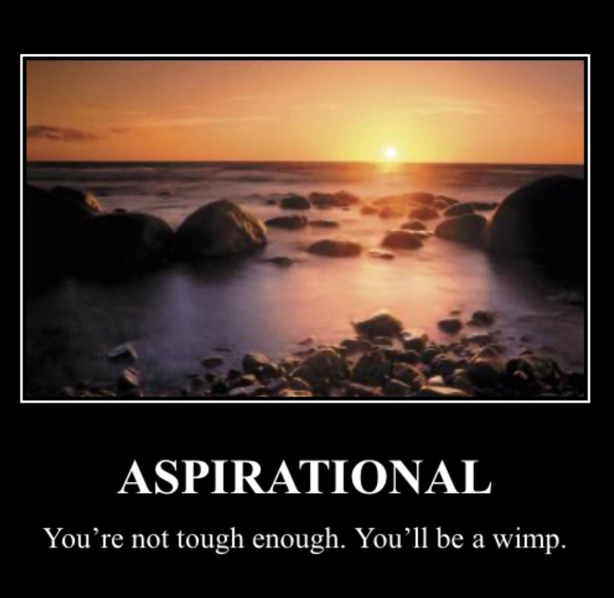 THREAD: Today on @CNNSotu, trump’s lawyer said “What President Trump didn’t do is direct Vice President Pence to do anything. He asked him in an aspirational way.” Since he was being “aspirational”, I’ve put some of what he said to Pence that day on motivational posters. Enjoy 1/