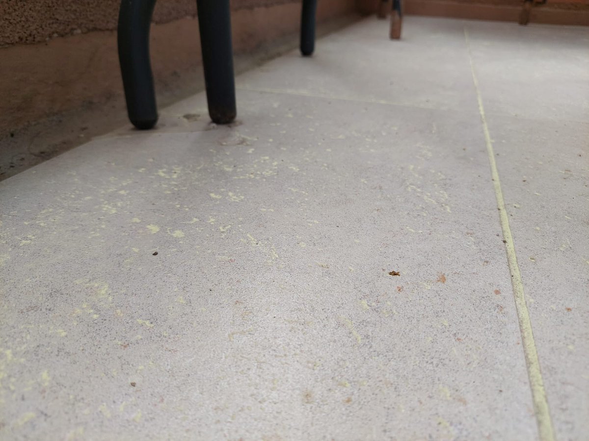 esolizp's tweet photo. Estimados @SanPedroPaz , tiene la municipalidad de San Pedro información sobre el material particulado amarillo que ha caído la última semana en villa san pedro y andalue?? Agradeceré caulquier información @SANPEDRO_CC https://t.co/iplhcJY6Ec