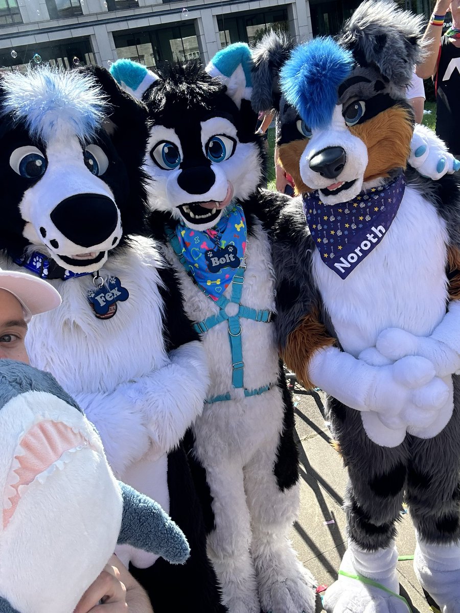 pakapakapakapakapakapakapaka tweet media