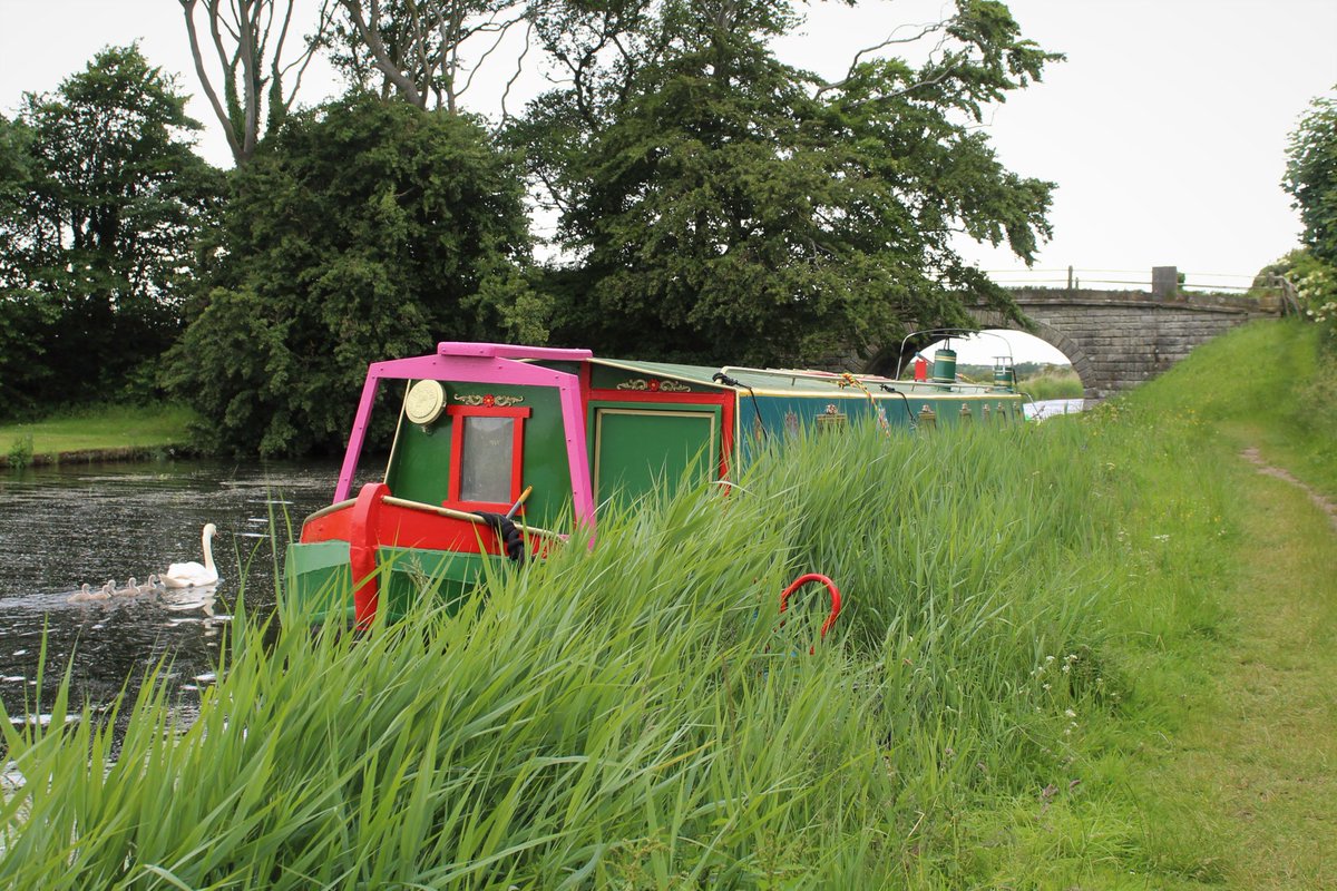 BridgesCanal's tweet photo. Thurnham Bridge No 6 .. Glasson Branch .. Lancaster Canal #ConderGreen #Lancashire @CanalRiverTrust @CRTBoating #Bridge #KeepCanalsAlive https://t.co/oMLQs0K58L