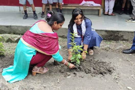kvbkpafs's tweet photo. Primary section Tree plantation Celebrating #3yearsofNEP2020 @dpradhanbjp @KVS_HQ @kvsrokolkata @PCMOHAPATRA6 https://t.co/BaX6dC3Fsz