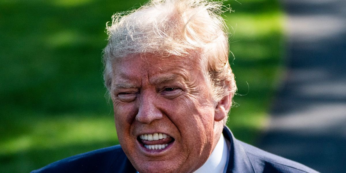 JoJoFromJerz's tweet image. Trump is so f’ng predictable.
Nancy Pelosi called him a “scared puppy”, and just as we all could have guessed (and Nancy certainly did) - it’s triggered the f*ck out of him.

And it’s absolutely glorious.
#ScaredPuppyTrump
Pass it on.