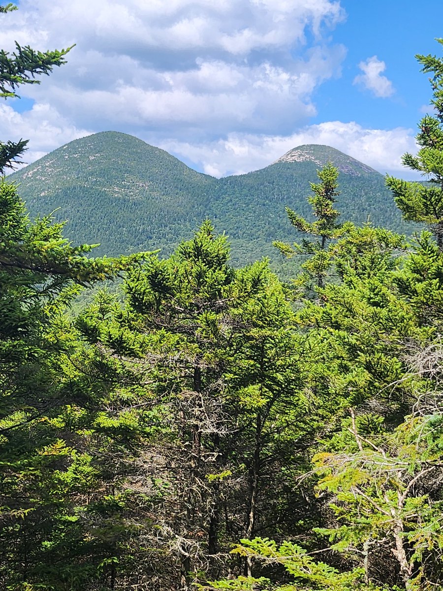 Jaredfornh's tweet image. Got to love the white mountains! Victorhead mt Stark New Hampshire @whitemts  #nh #whitemountains