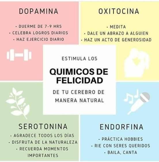 virginiog's tweet image. Hay cuatro sustancias naturales (endorfina, serotonina, dopamina y oxitocina) que parecen actuar como activadores, siendo conocidos cómo el cuarteto de la felicidad. 

Loretta G. Breuning,   Habits of a happy brain