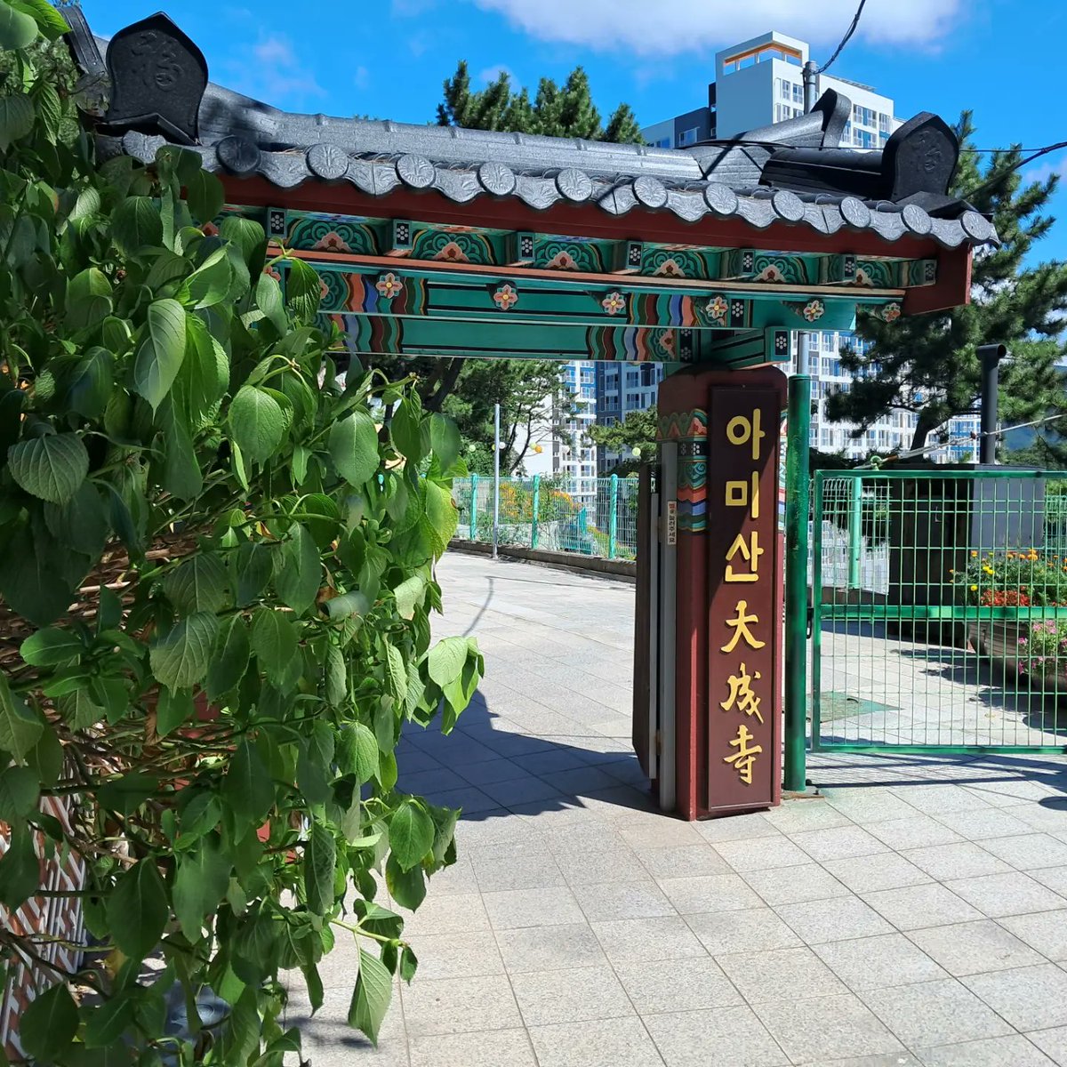 감천문화마을 아미산 대성사 
백중 4재~